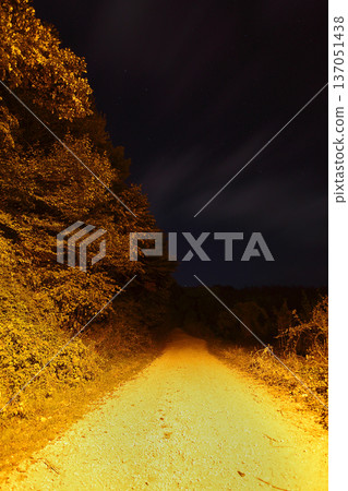 night and path road night and path road 137051438