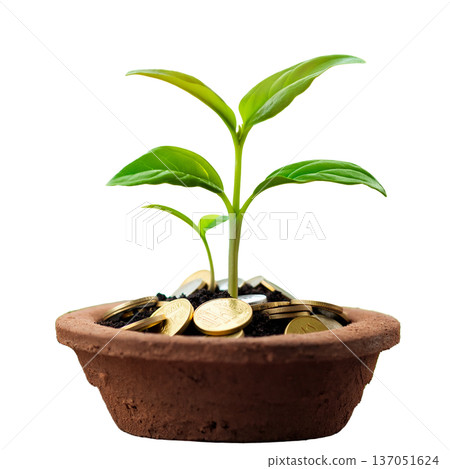 Investment growth concept represented by potted sprouts and coins 137051624