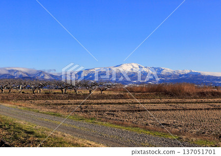 The Shonai Plain and snow-capped mountains in Kisaragi 137051701