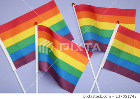 LGBT rainbow flag flat lay on purple background. 137051742