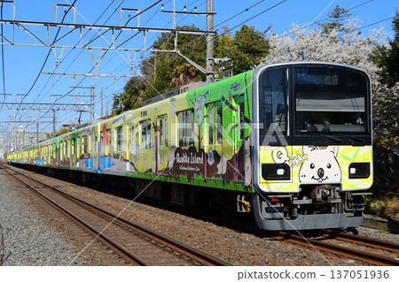 Tobu 50090 series 51092F Quokka Train bound for TJ Liner Ikebukuro, running with blooming plum blossoms in the background 137051936
