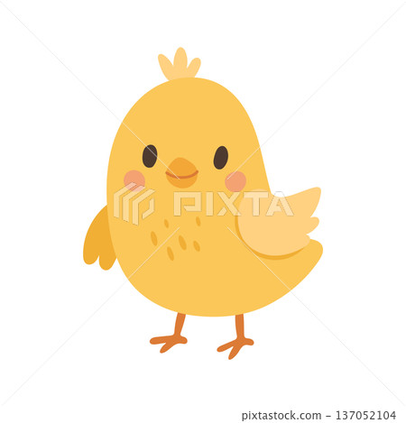Adorable yellow chick cartoon character, perfect for farm themed nursery prints, Easter marketing visuals, children posters and cute sticker packs. Adorable yellow chick cartoon character, perfect for farm themed nursery prints, Easter marketing visuals, children posters and cute sticker packs. 137052104