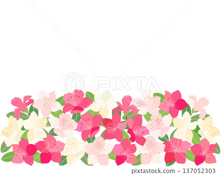 A card with an illustration of a white and pink azalea 137052303
