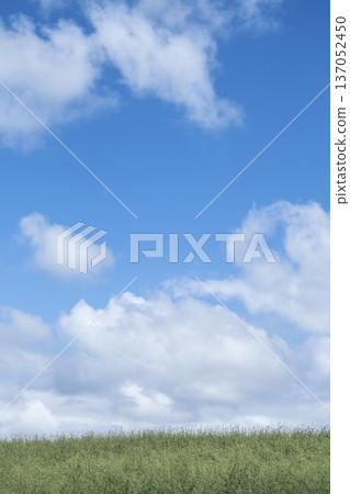 Refreshing summer blue skies and grasslands of the Hiruzen Plateau 137052450