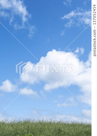 猿飛高原清爽的夏日藍天與草原 猿飛高原清爽的夏日藍天與草原 137052454
