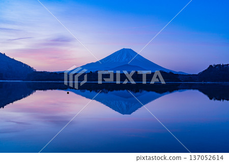 (山梨縣)精進湖-黎明時分富士山俯瞰靜謐的湖畔 (山梨縣)精進湖-黎明時分富士山俯瞰靜謐的湖畔 137052614