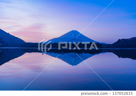 (Yamanashi Prefecture) Lake Shoji - Mount Fuji at dawn over the quiet lakeside 137052615