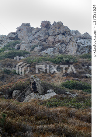 A small seaside town Bodrum 137052624