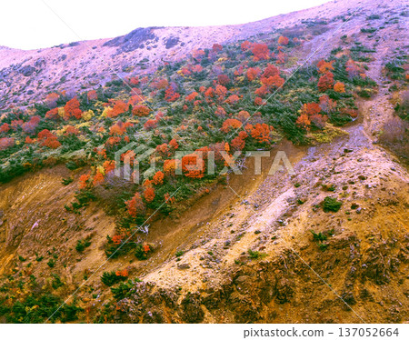 Autumn leaves on the slopes of Mount Azuma-Kofuji Autumn leaves on the slopes of Mount Azuma-Kofuji 137052664