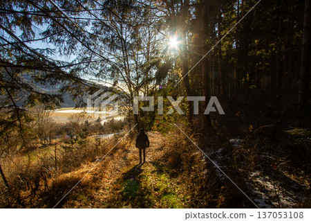 Woman walking with her dog through the forest Woman walking with her dog through the forest 137053108