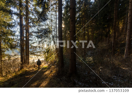 Woman walking with her dog through the forest Woman walking with her dog through the forest 137053109