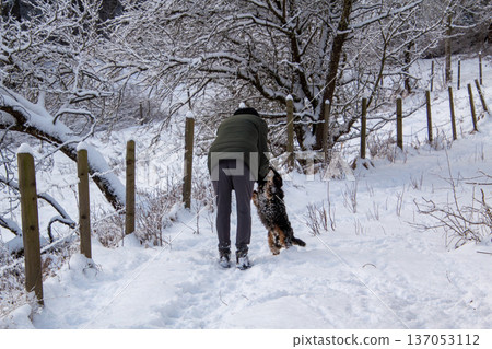 Woman walking and her dog running through the snow. Woman walking and her dog running through the snow. 137053112