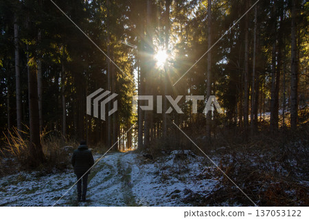 Woman walking with her dog through the forest Woman walking with her dog through the forest 137053122