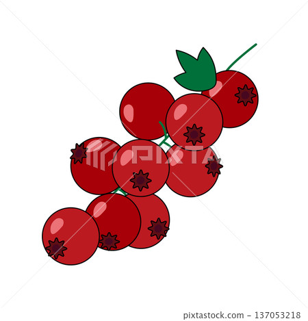 An illustration of a bunch of red currants with bright red fruit 137053218