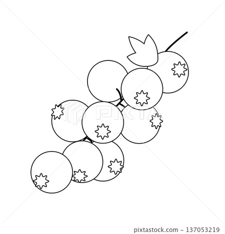 簡單的線條畫，描繪了紅醋栗，可用於著色或裝飾。 137053219