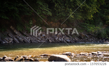 Mountain River Flowing Along Rocky Forest Bank 137053226