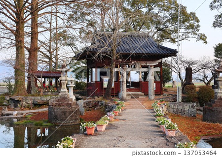 Shiroishi Town Nuinoike Pond 137053464