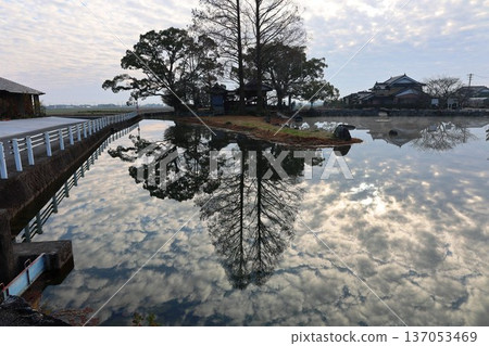 Shiroishi Town Nuinoike Pond Shiroishi Town Nuinoike Pond 137053469