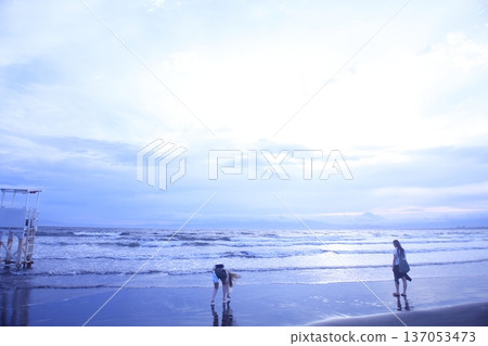 日落時人們在海灘上散步 137053473