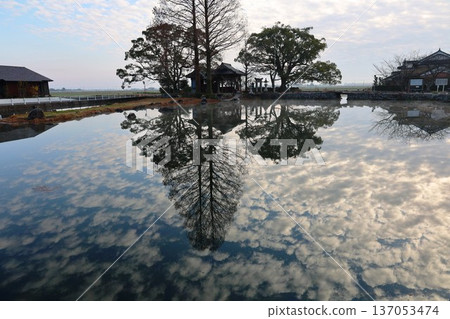 Shiroishi Town Nuinoike Pond 137053474