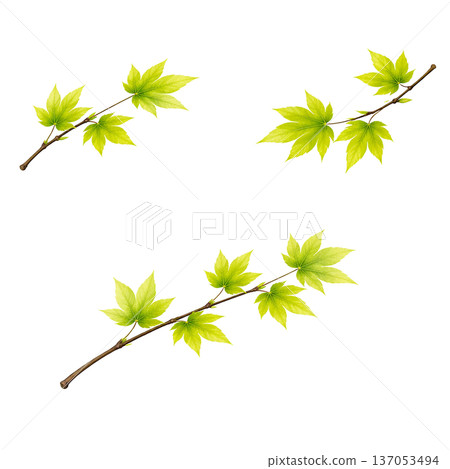 插圖有瑕疵，請勿購買。 137053494