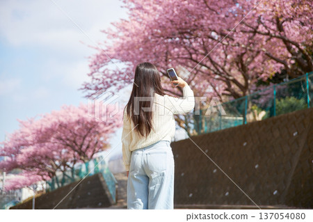 一位二十多歲的女子正在拍攝盛開的櫻花。 一位二十多歲的女子正在拍攝盛開的櫻花。 137054080