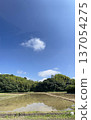 藍天和米領域風景 137054275