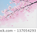 Illustration of cherry blossoms against a blue sky 137054293