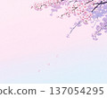 Cherry blossom petals dance 137054295