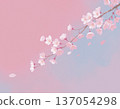 Cherry blossoms and flower petals 137054298