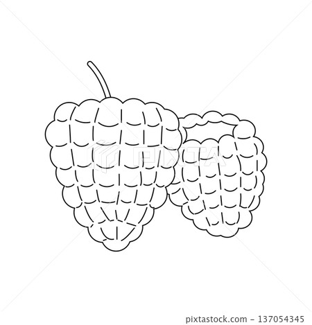 樹莓和樹莓線描向量圖,可用於著色書 樹莓和樹莓線描向量圖,可用於著色書 137054345