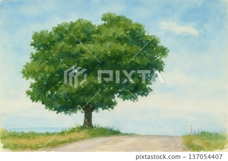 七星樹 七星樹 137054407