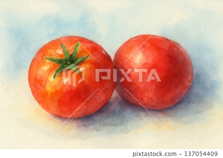剛採摘的西紅柿 137054409