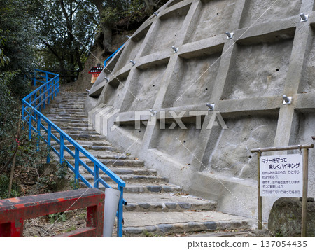 以噴射混凝土框架結構建造的滑坡場地 以噴射混凝土框架結構建造的滑坡場地 137054435
