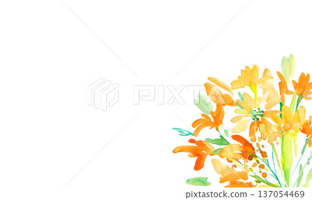 水彩畫。一組水彩黃色花卉插圖。黃色鬱金香向量植物背景。 水彩畫。一組水彩黃色花卉插圖。黃色鬱金香向量植物背景。 137054469