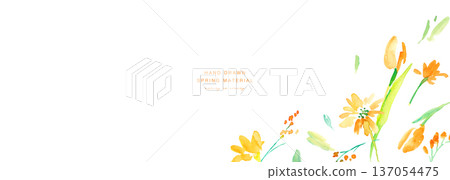 Watercolor painting. Set of watercolor yellow flower illustrations. Vector botanical background of yellow tulips. Watercolor painting. Set of watercolor yellow flower illustrations. Vector botanical background of yellow tulips. 137054475