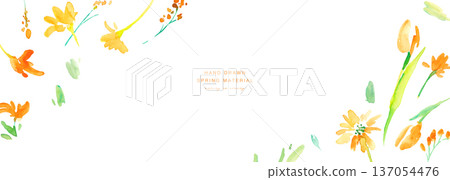 水彩畫。一組水彩黃色花卉插圖。黃色鬱金香向量植物背景。 137054476