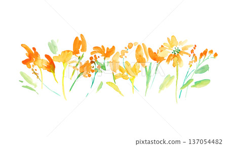 Watercolor painting. Set of watercolor yellow flower illustrations. Vector botanical background of yellow tulips. Watercolor painting. Set of watercolor yellow flower illustrations. Vector botanical background of yellow tulips. 137054482