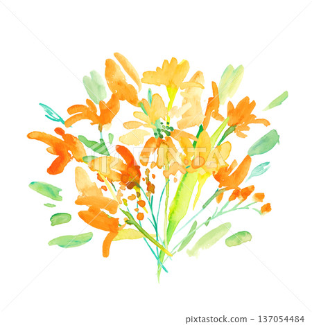 水彩畫。一組水彩黃色花卉插圖。黃色鬱金香向量植物背景。 水彩畫。一組水彩黃色花卉插圖。黃色鬱金香向量植物背景。 137054484