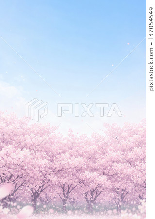 櫻桃背景 137054549