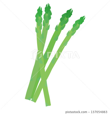 蘆筍向量圖標,葉菜類蔬菜插圖素材 蘆筍向量圖標,葉菜類蔬菜插圖素材 137054863