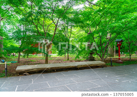 [Tokyo] Kuhonbutsu Joshinji Temple: Beautiful and refreshing summer greenery 137055005