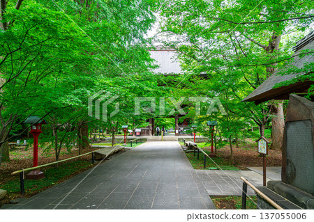 【東京】九本佛上真寺：美麗清爽的夏日綠意 137055006