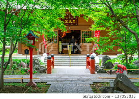 [Tokyo] Kuhonbutsu Joshinji Temple: Beautiful and refreshing summer greenery 137055033