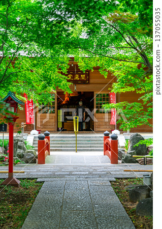 [Tokyo] Kuhonbutsu Joshinji Temple: Beautiful and refreshing summer greenery 137055035