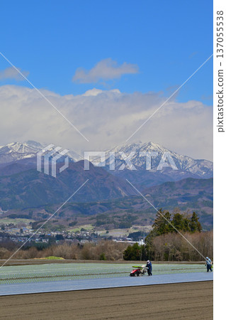 Farm work in progress. View from the fields of Akagi Plateau. Snowy mountains of Joetsu. Showa Village. Farm work in progress. View from the fields of Akagi Plateau. Snowy mountains of Joetsu. Showa Village. 137055538