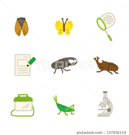昆蟲捕捉插畫圖示集,暑假自主學習,手繪可愛 昆蟲捕捉插畫圖示集,暑假自主學習,手繪可愛 137056319