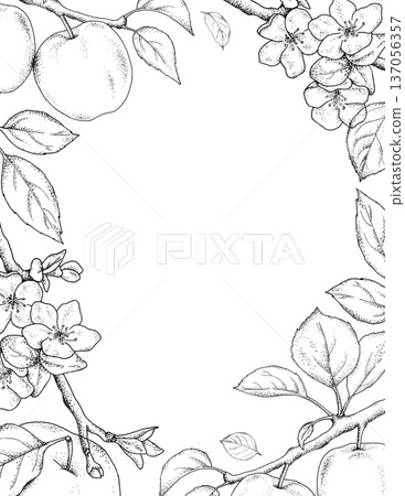 Template with outline elements - green apples, flowers and leaves. Hand drawn illustration isolated on white background. Template with outline elements - green apples, flowers and leaves. Hand drawn illustration isolated on white background. 137056357