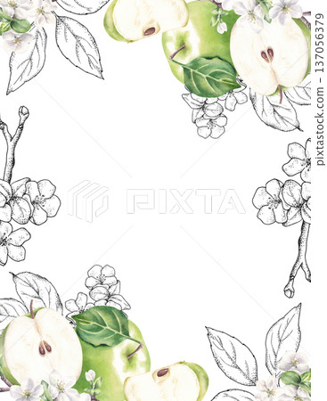 Frame with green apples, flowers, and graphic elements. Watercolor hand drawn illustration isolated on white background 137056379