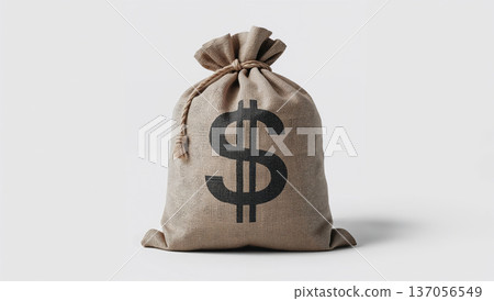 A large dollar sign appears worn on a rough burlap bag against a white background 137056549